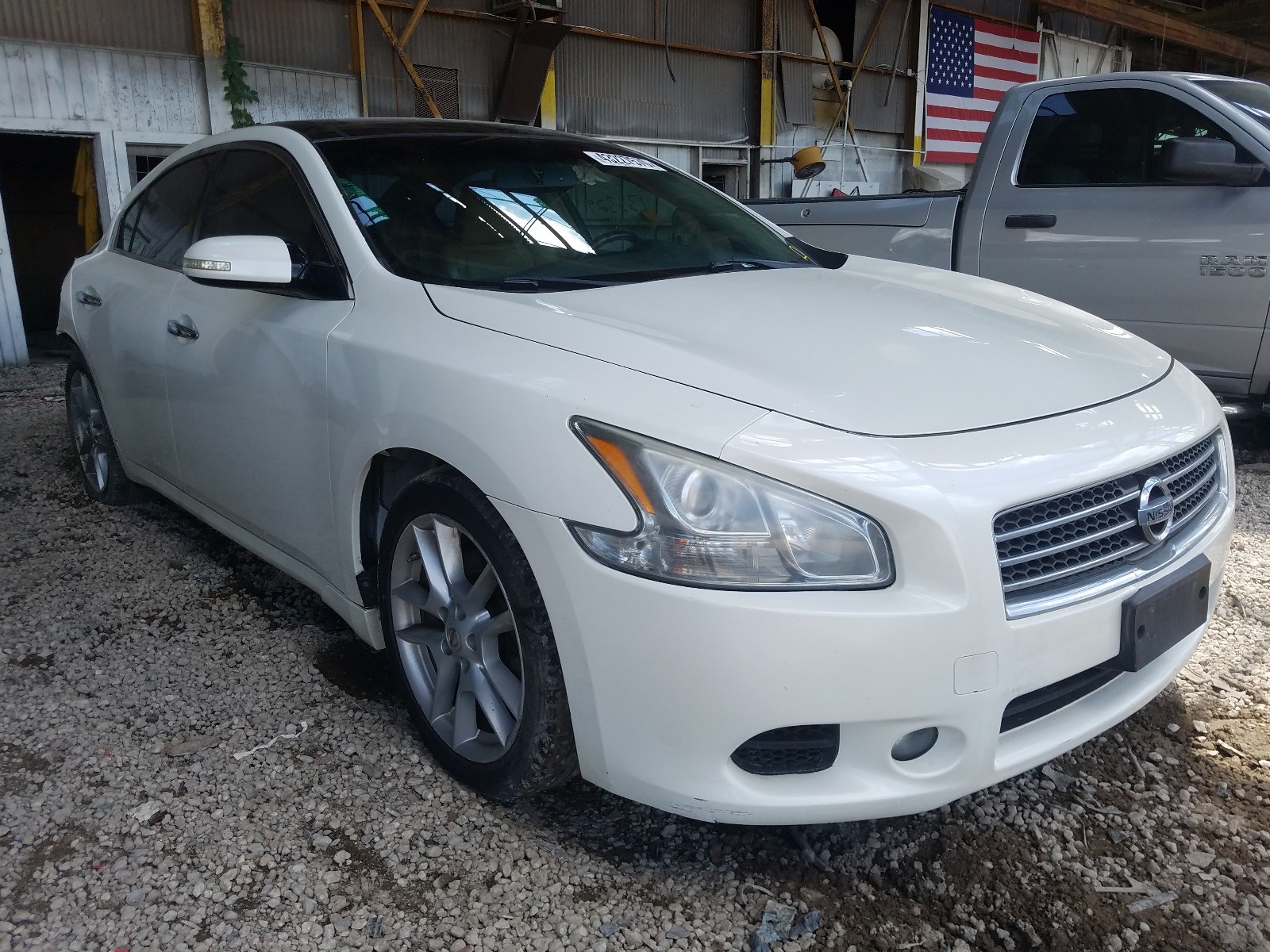 Salvage Nissan Maxima Image