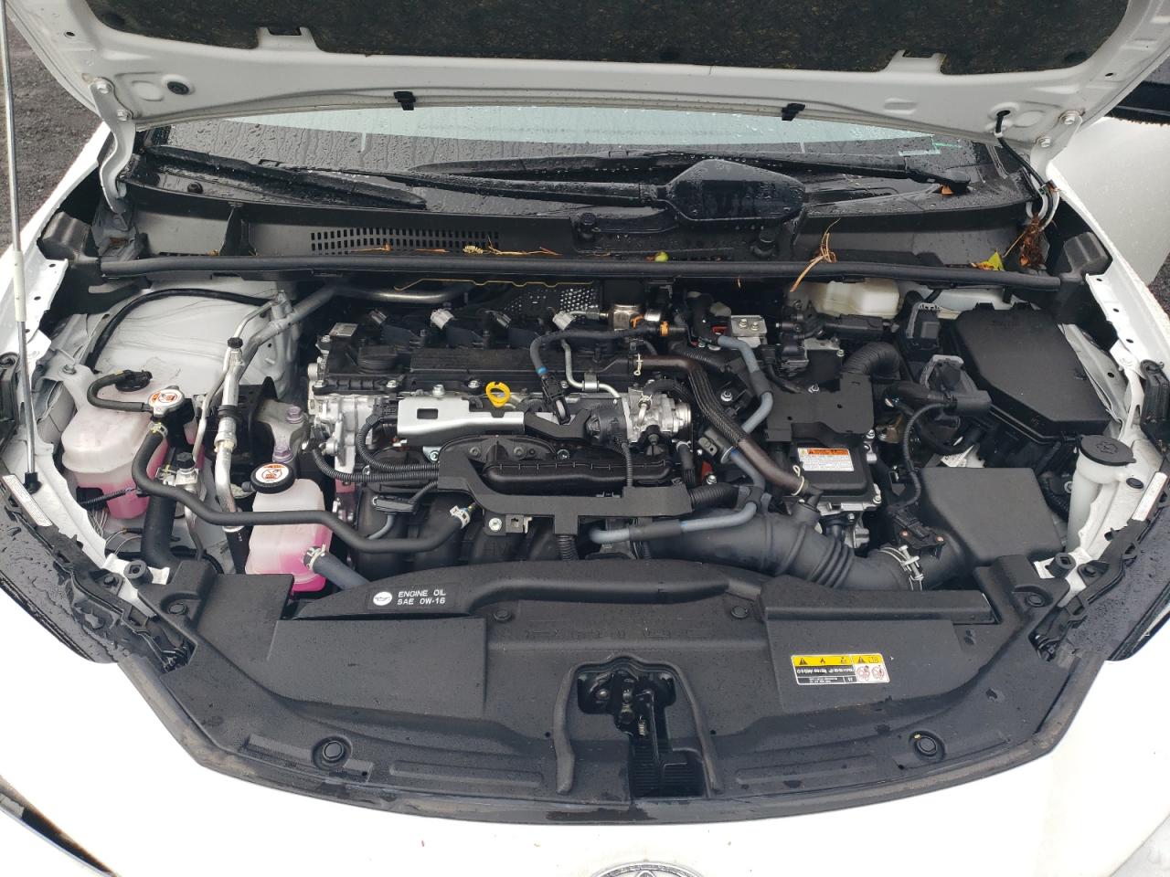 Toyota Prius Le