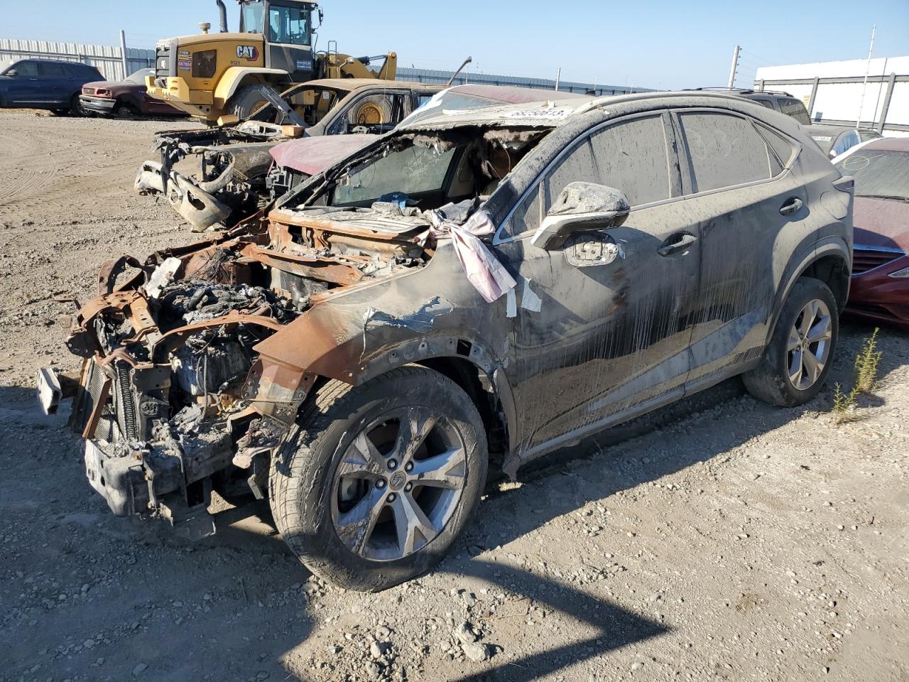 Salvage Lexus NX Image