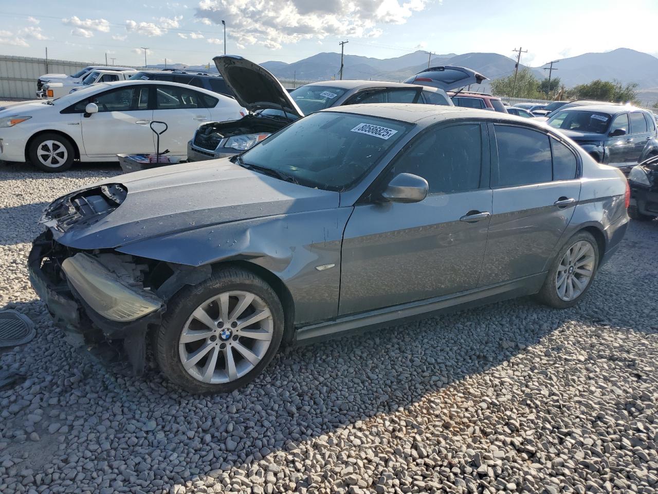 Salvage BMW 3 Series Image