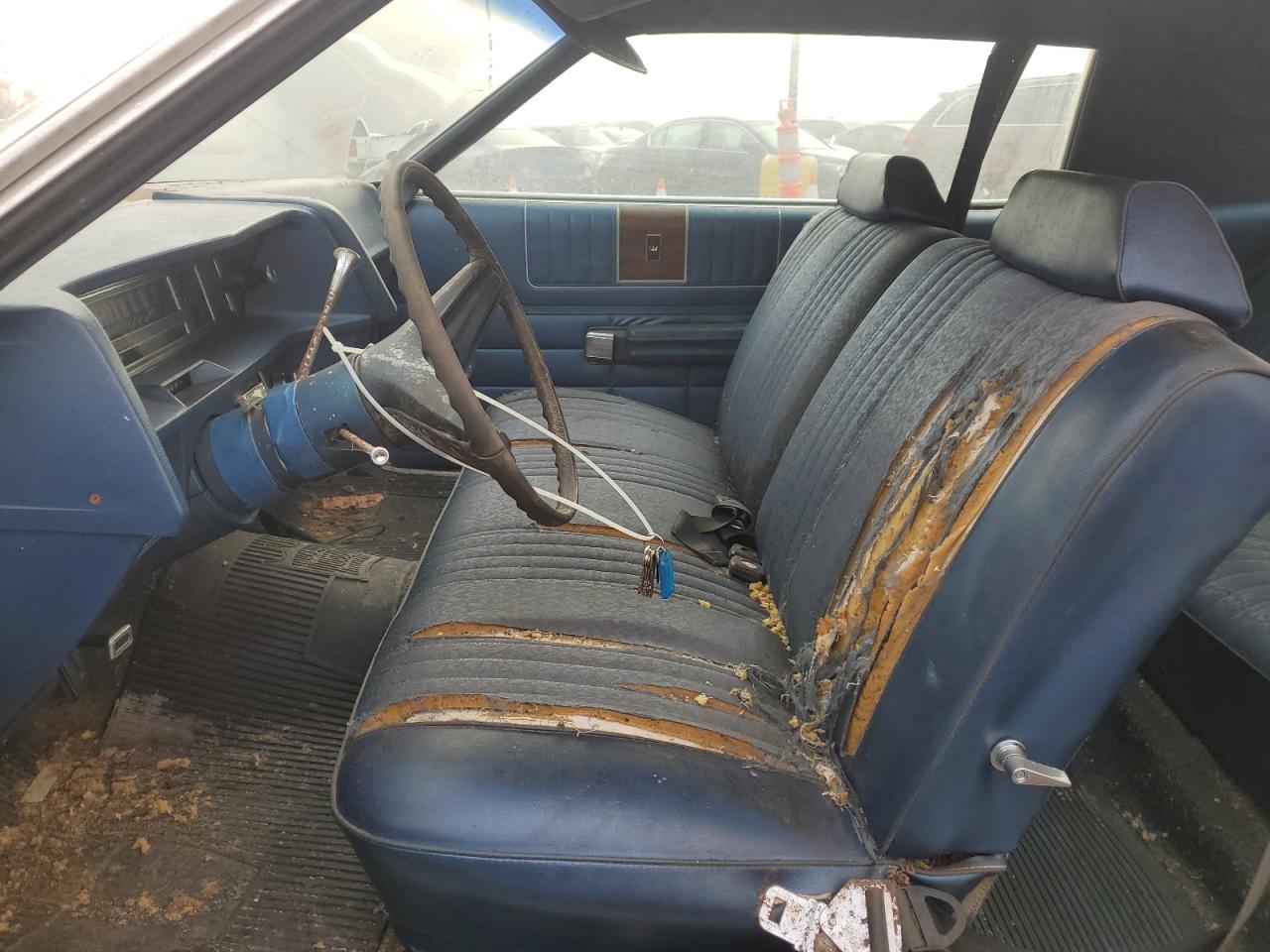 Ford Galaxie