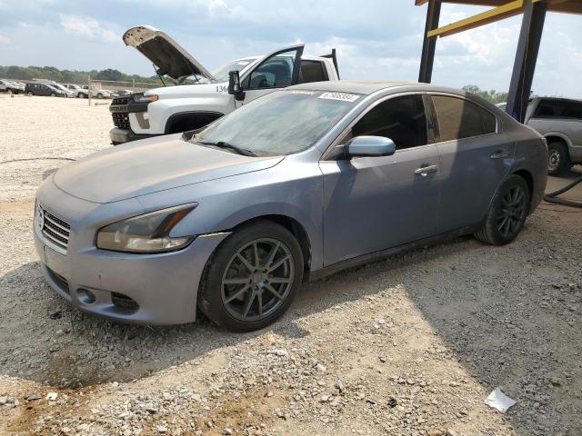 Salvage Nissan Maxima Image