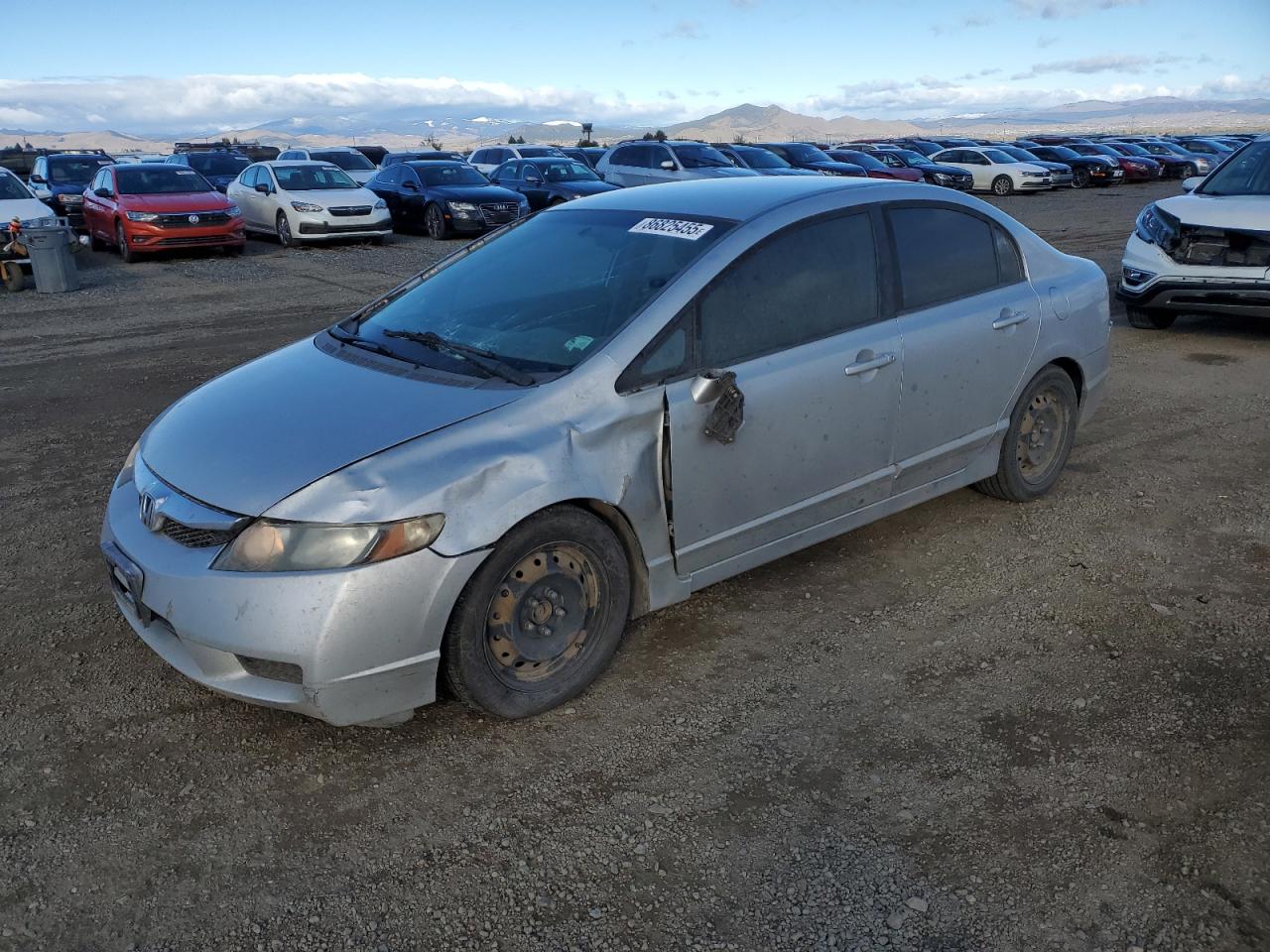 Salvage Honda Civic Image