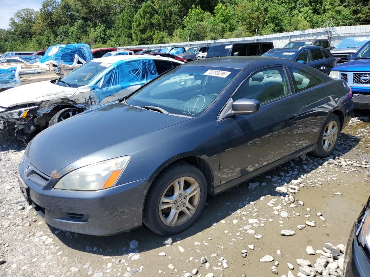 Salvage Honda Accord Image