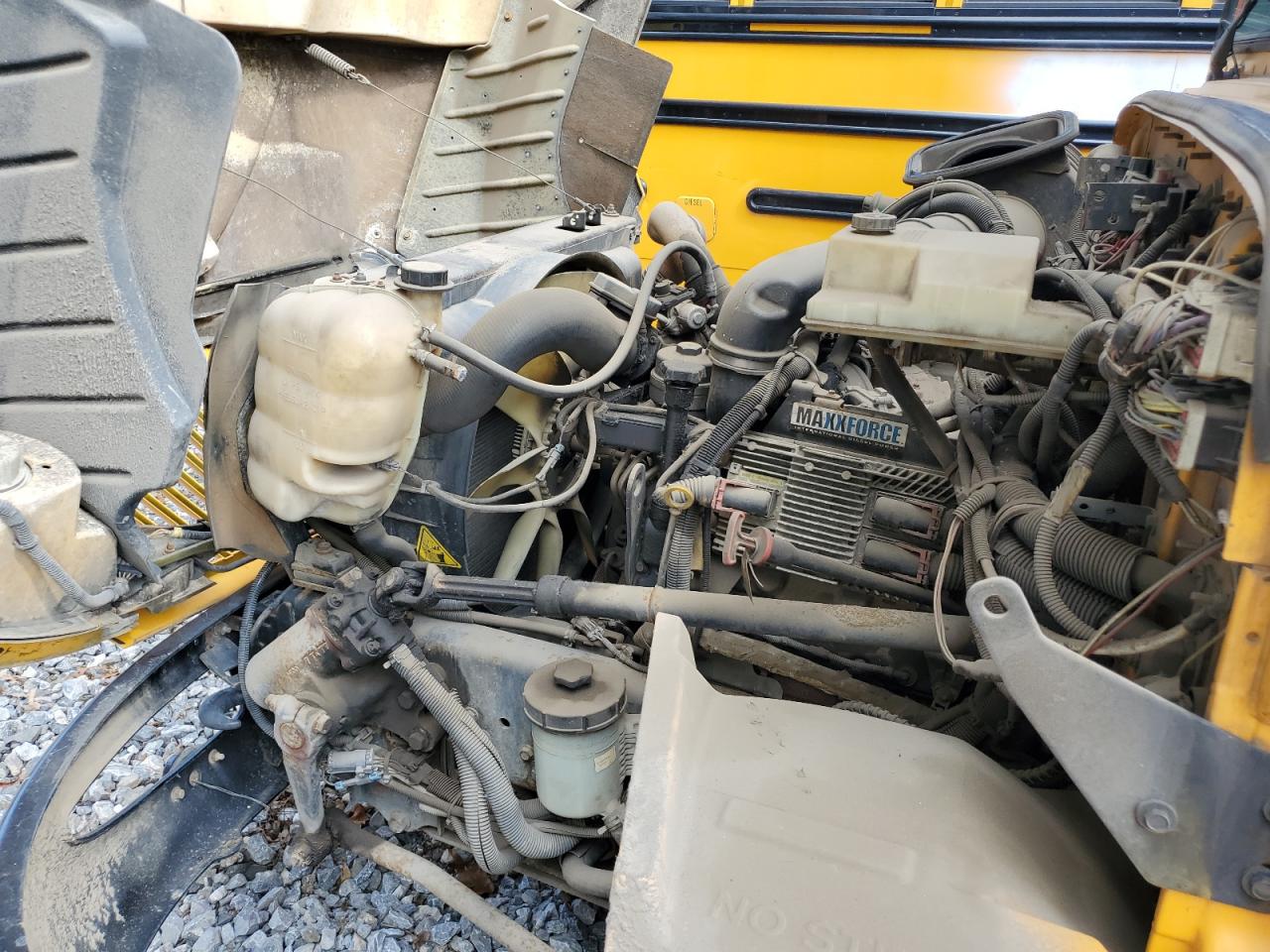 International Schoolbus