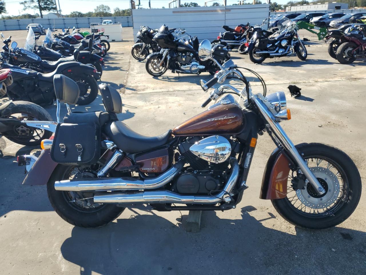 Salvage Honda Vt Cycle Image