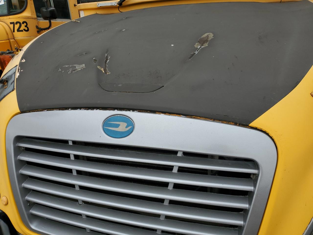 Blue Bird School Bus