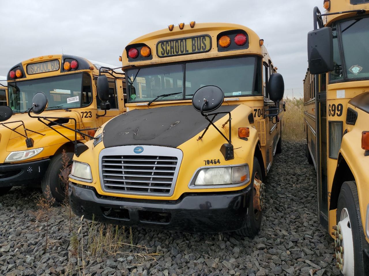 Blue Bird School Bus