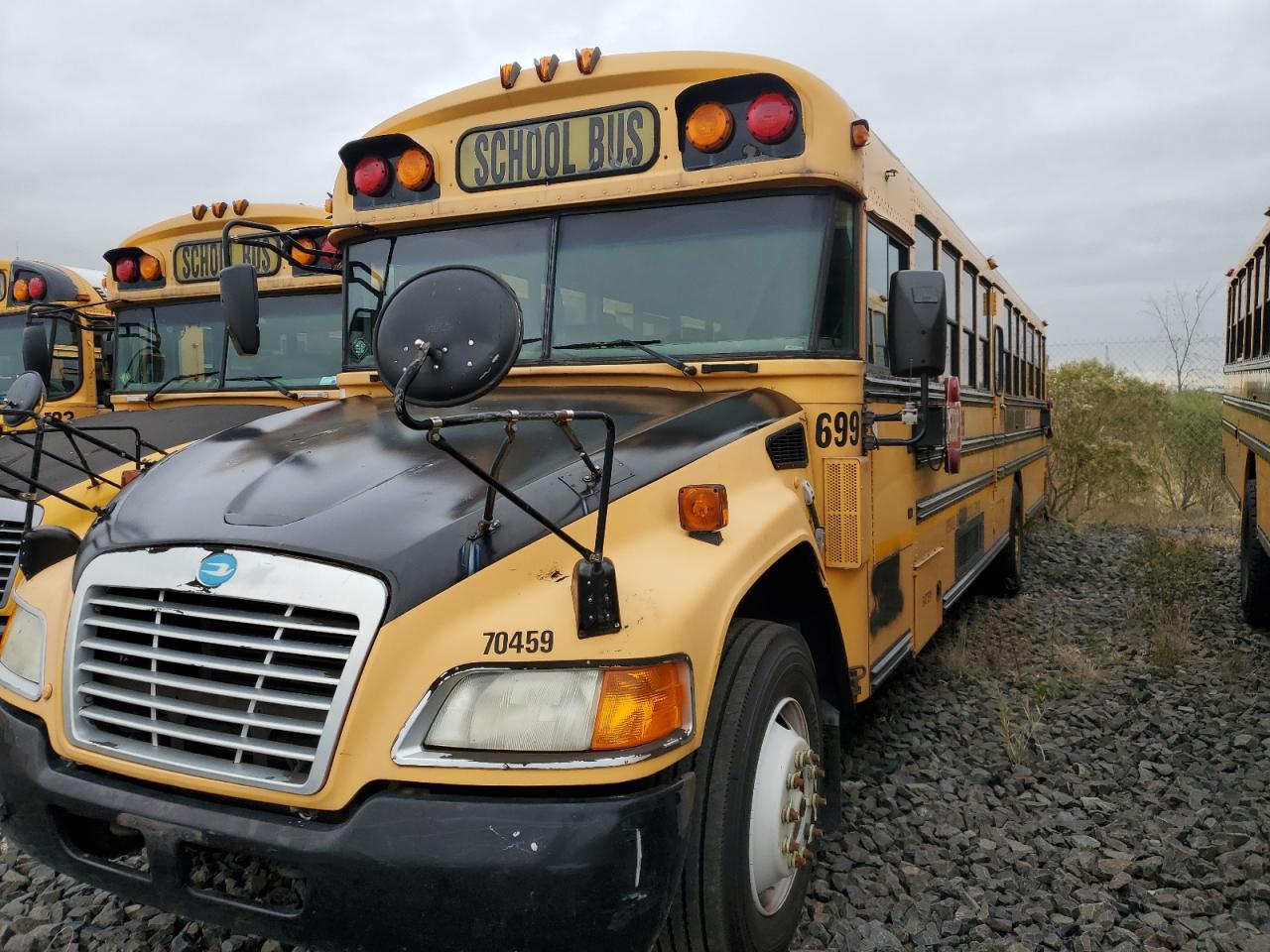 Blue Bird School Bus