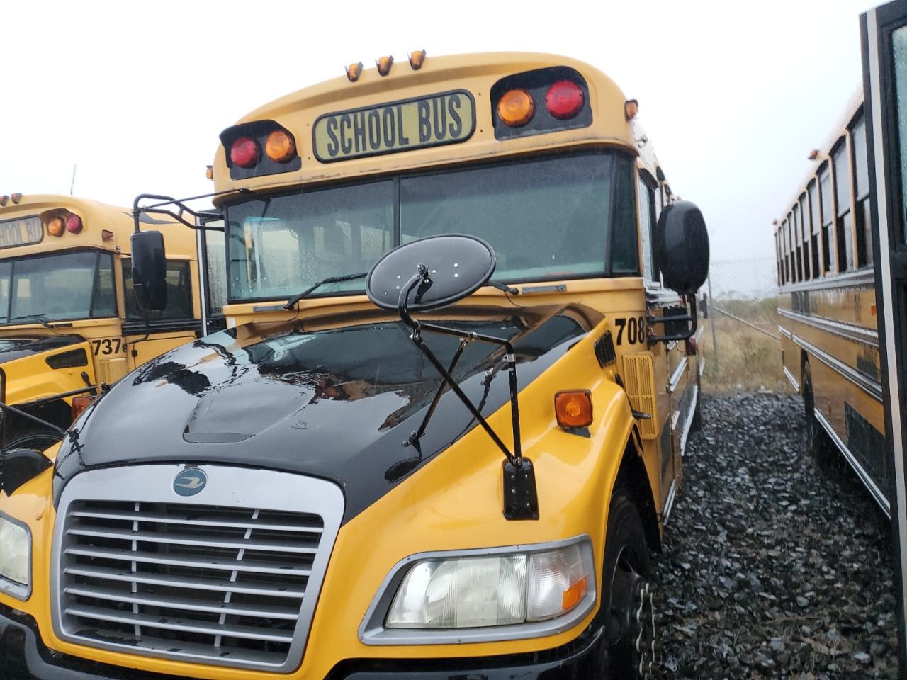 Blue Bird School Bus