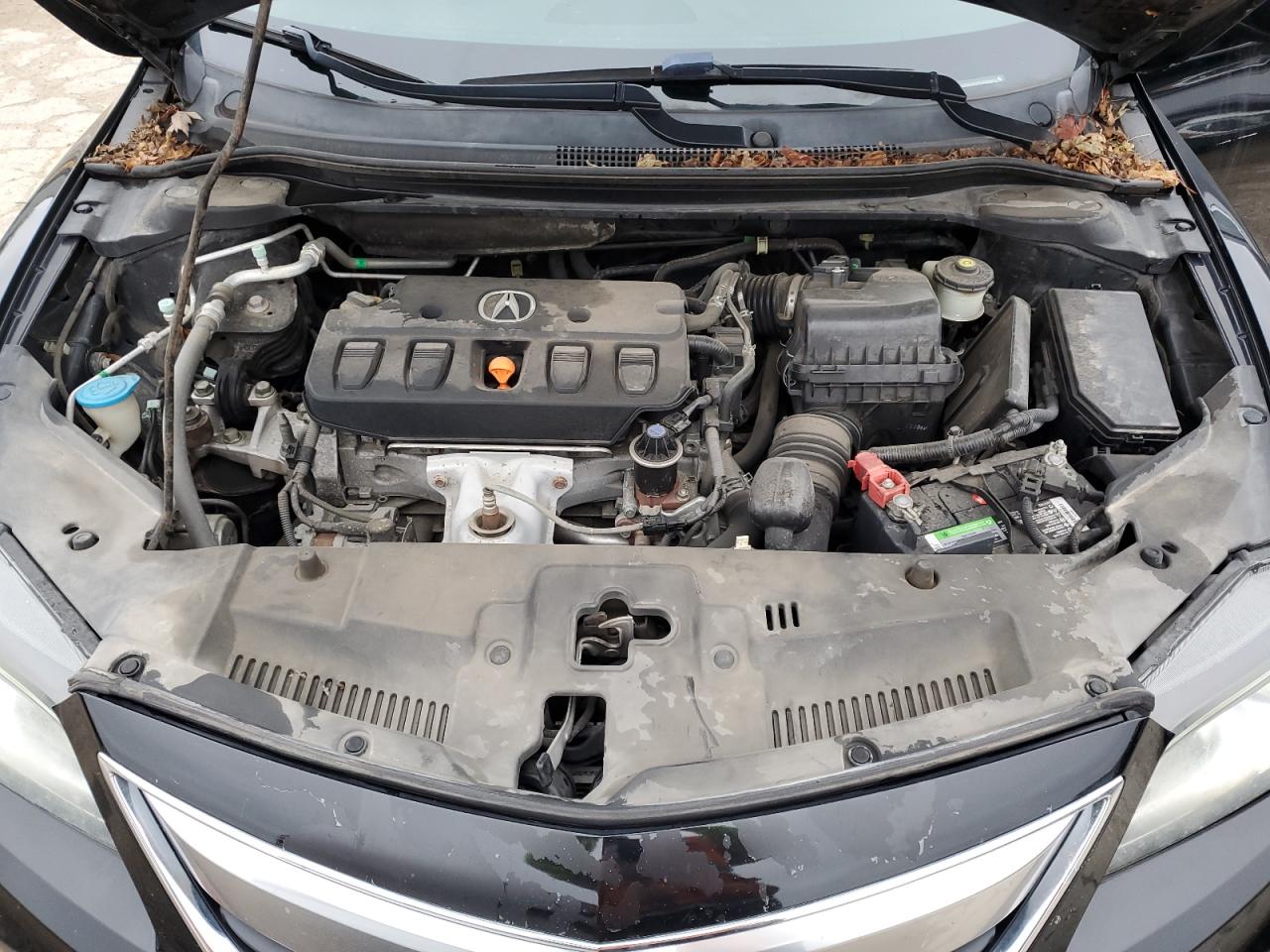 Acura ILX 20 Premium