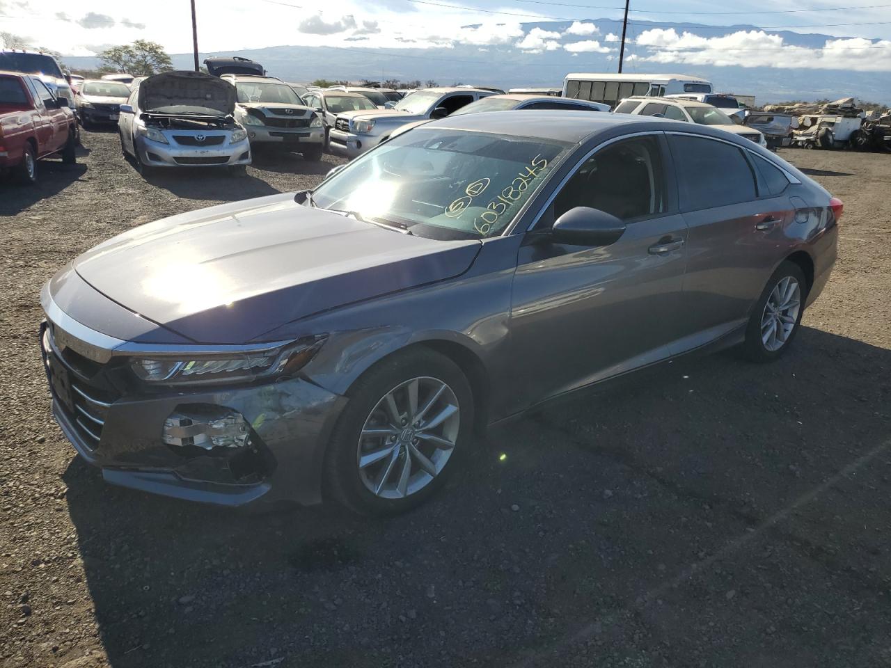 Salvage Honda Accord Image
