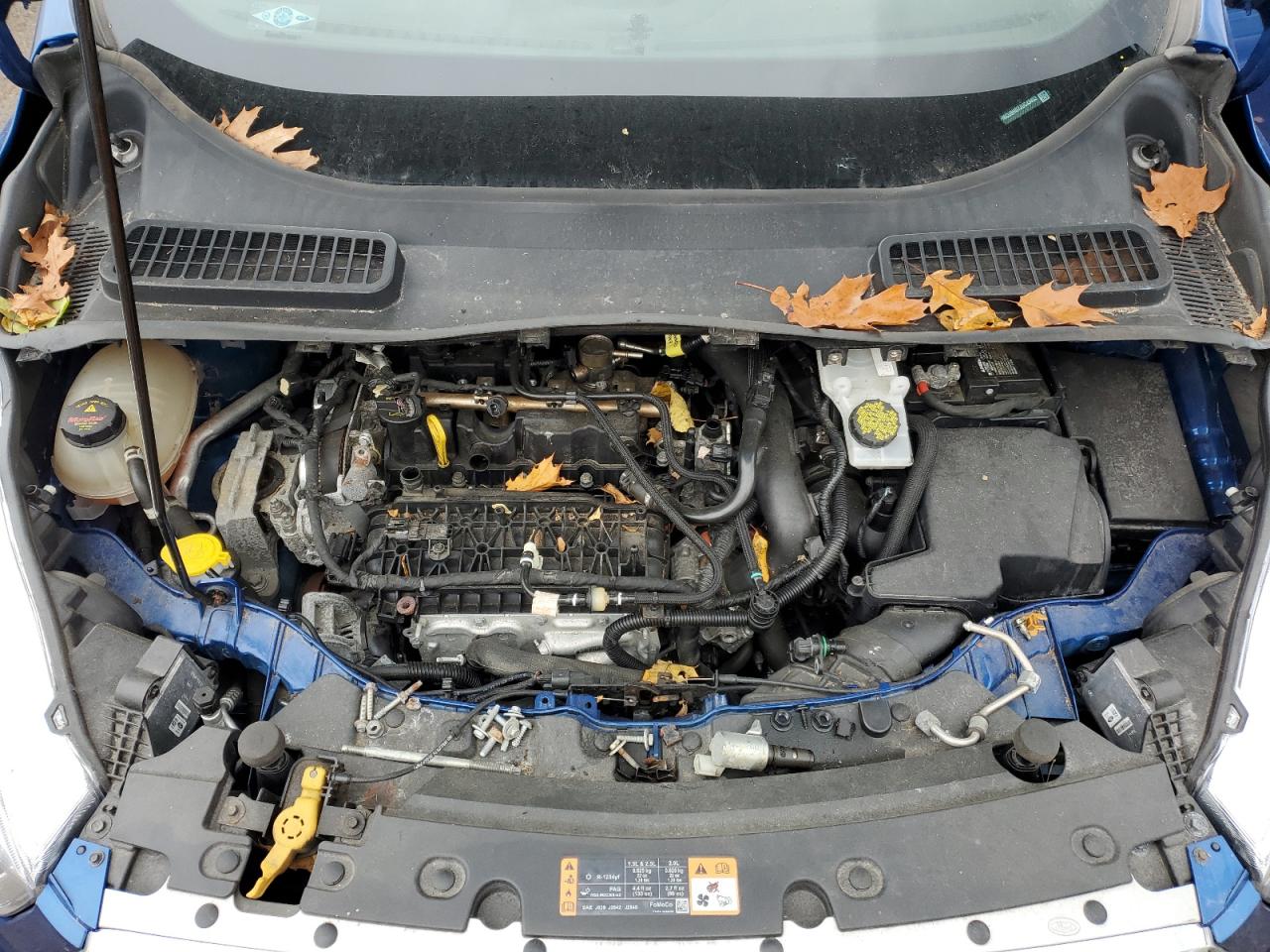 Ford Escape Sel