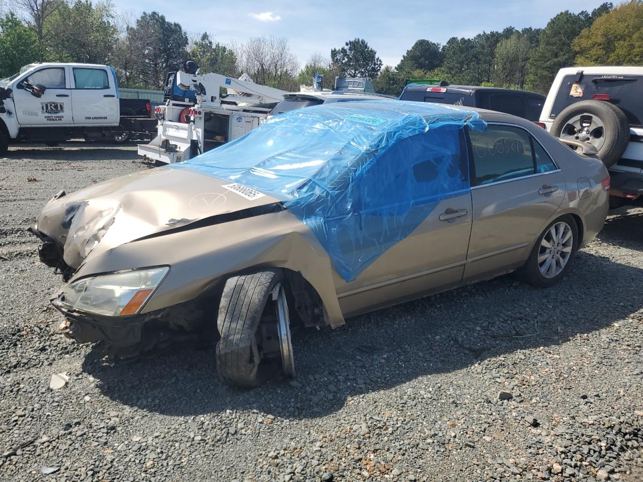 Salvage Honda Accord Image