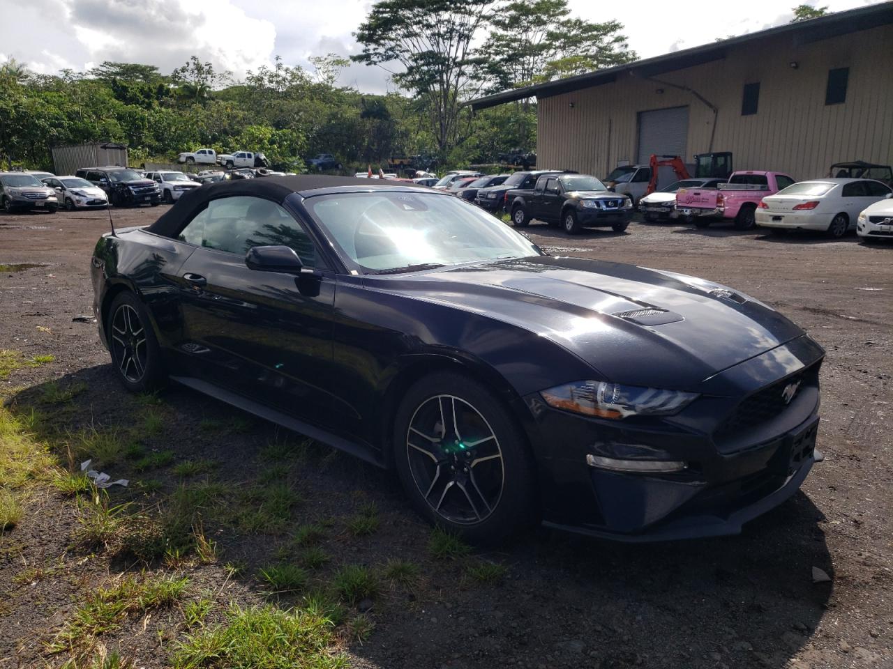 Ford Mustang