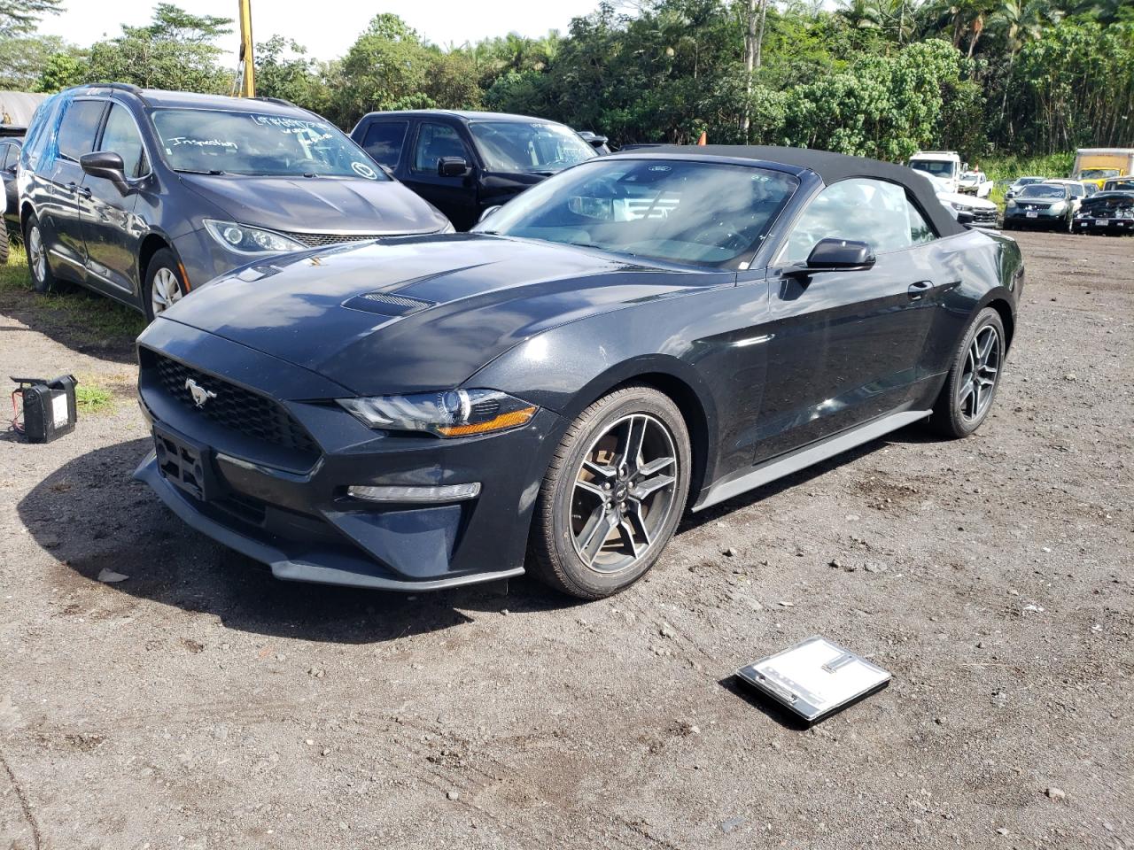 Salvage Ford Mustang Image