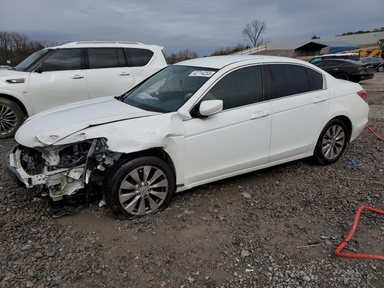 Salvage Honda Accord Image