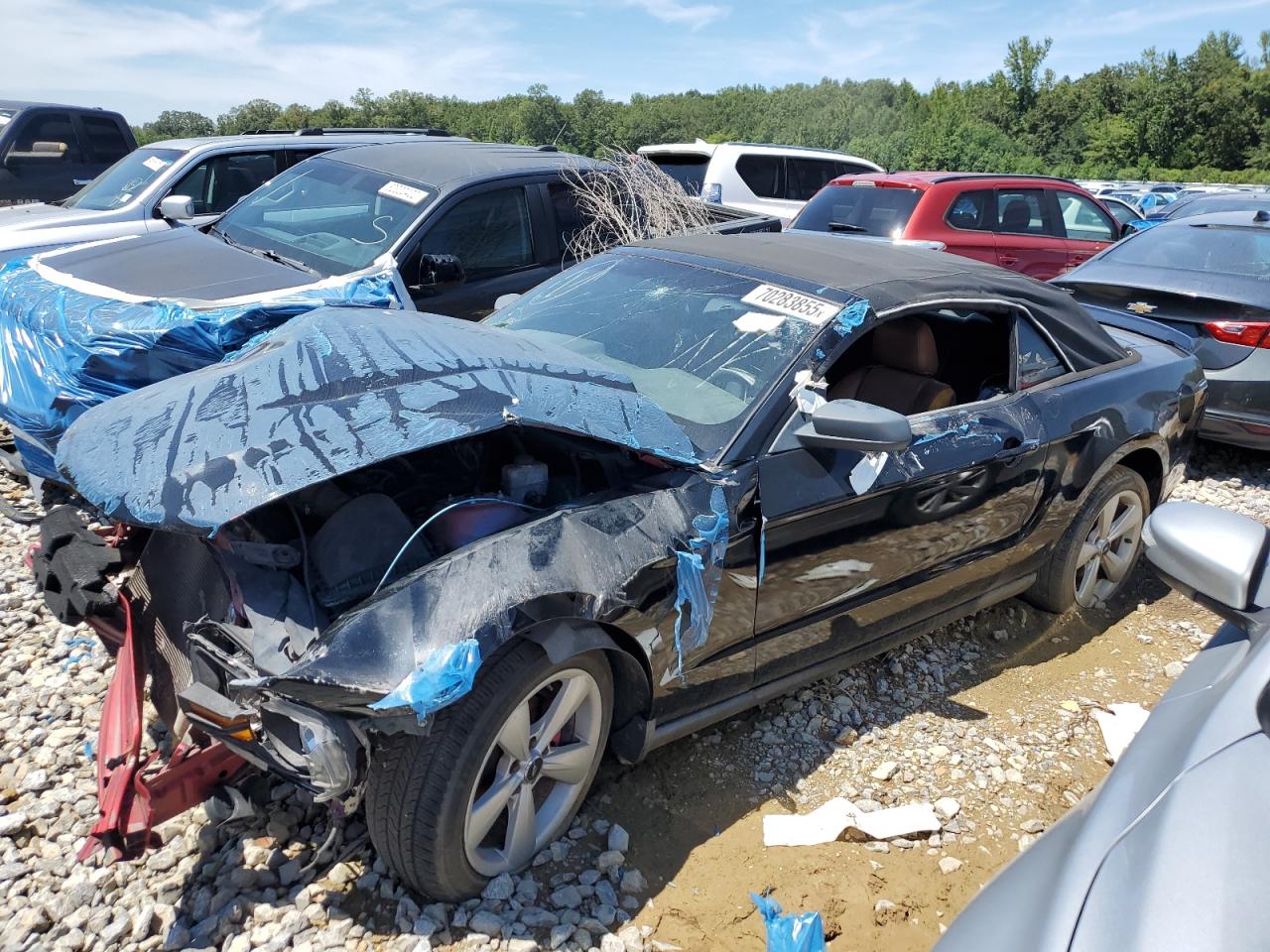 Salvage Ford Mustang Image
