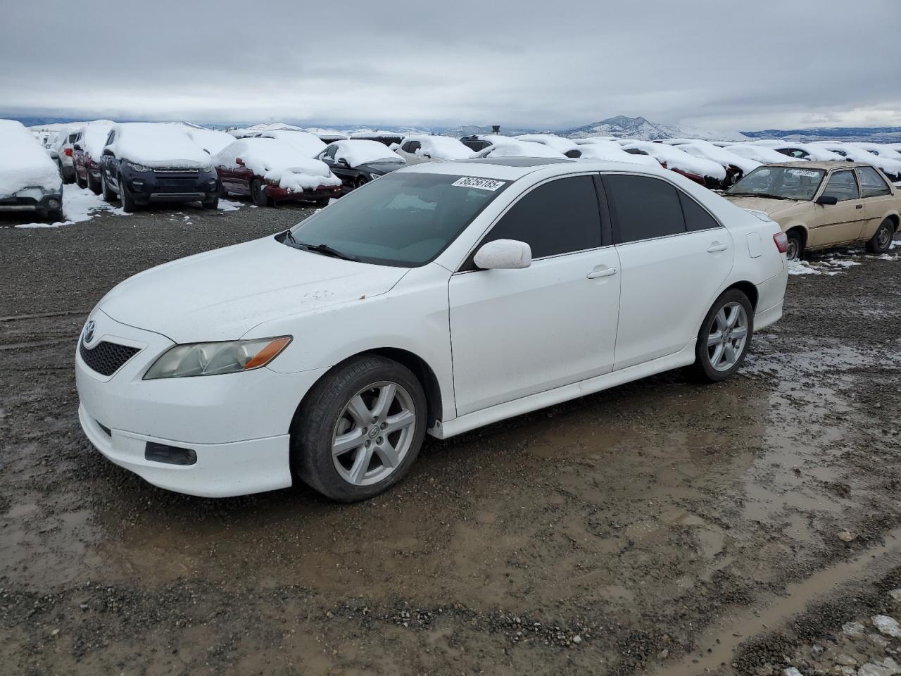 Salvage Toyota Camry Image