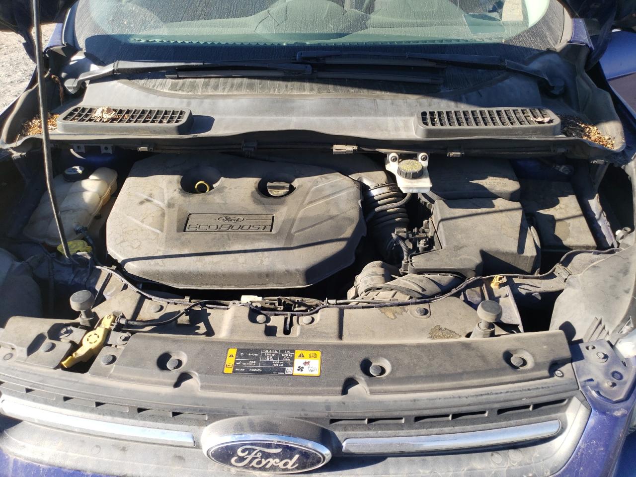 Ford Escape Se
