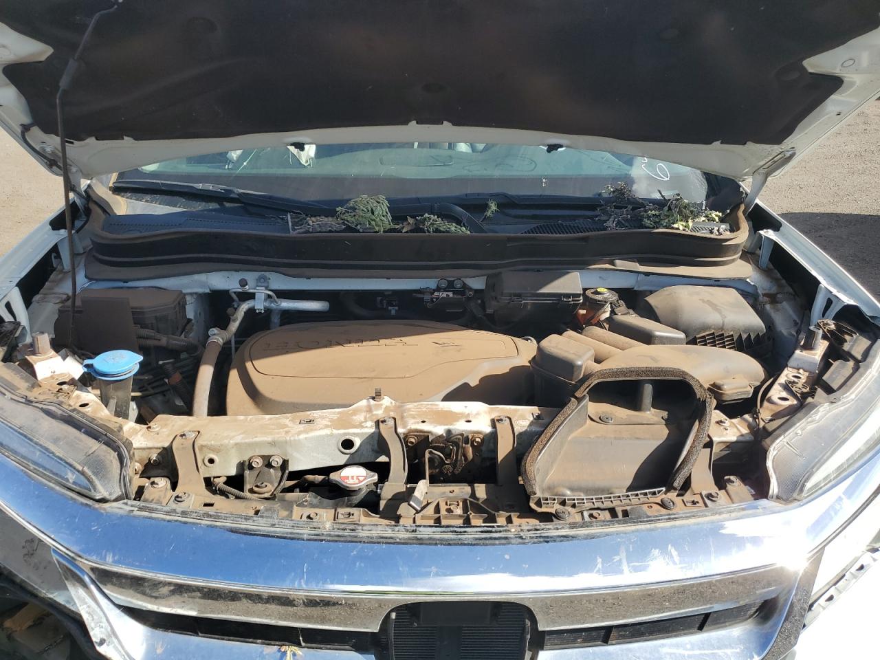 Honda Pilot Touring