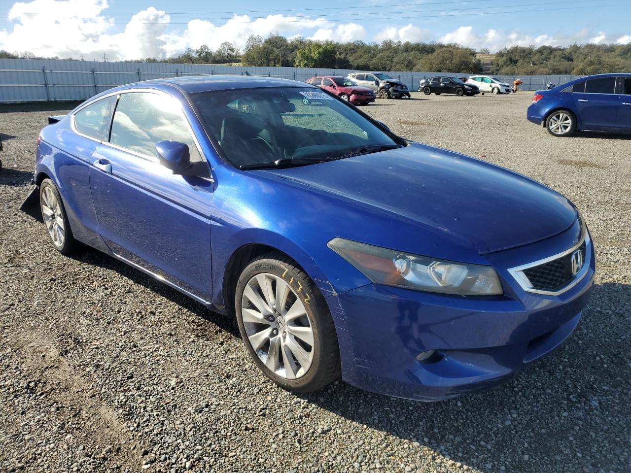 Honda Accord Exl
