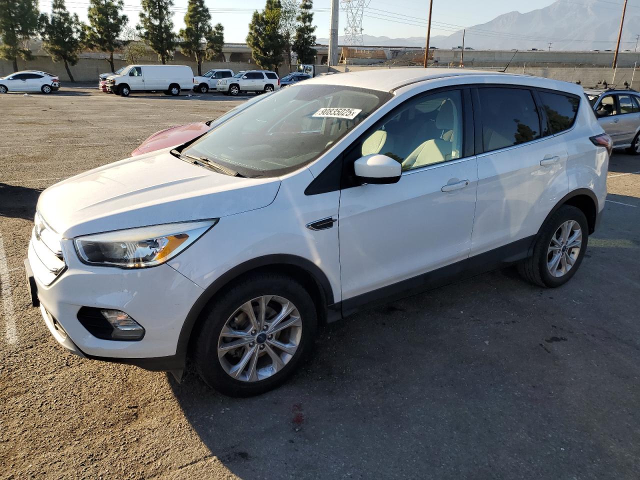 Salvage Ford Escape Image