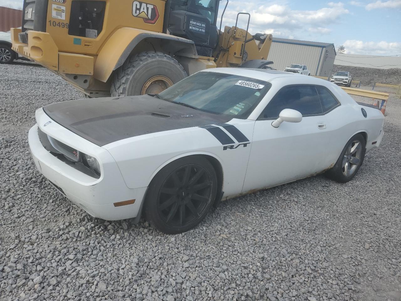 Salvage Dodge Challenger Image