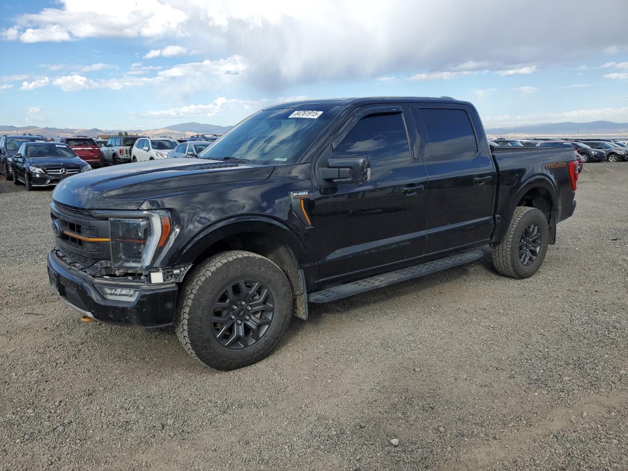 Salvage Ford F-150 Image