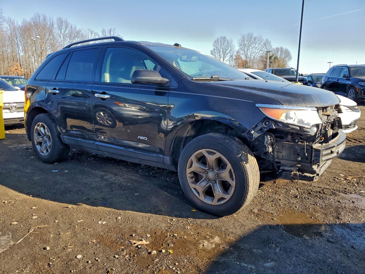 Ford Edge Sel