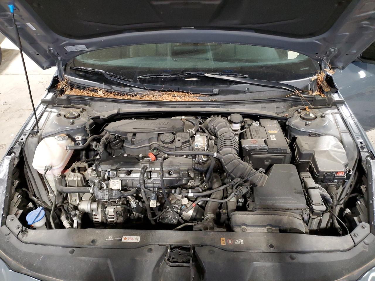 Hyundai ELANTRA N Line
