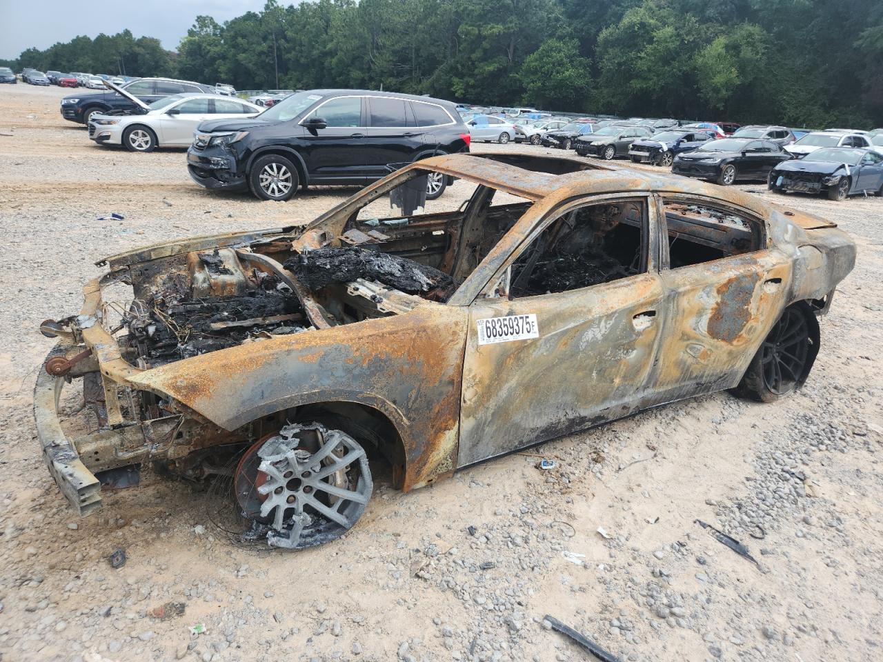 Salvage Dodge Charger Image
