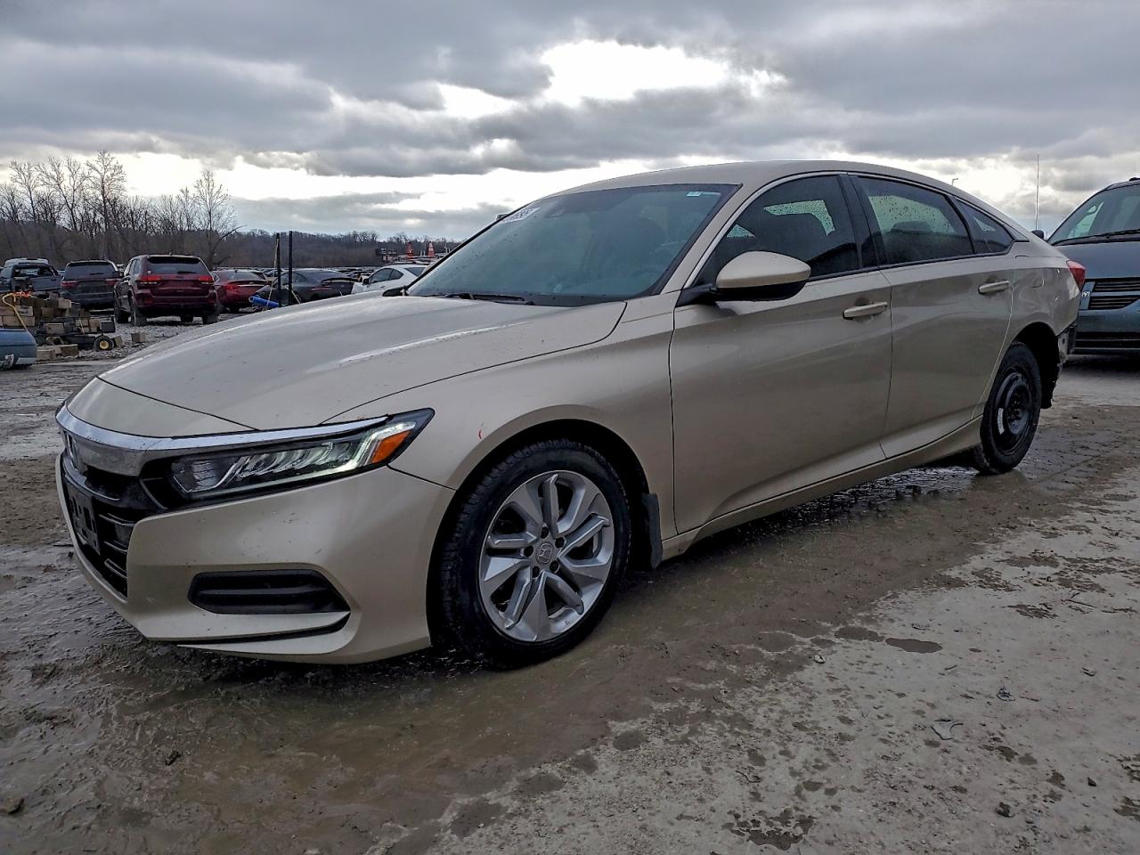 Salvage Honda Accord Image