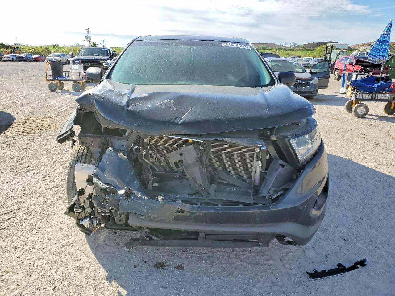 Ford Edge Se