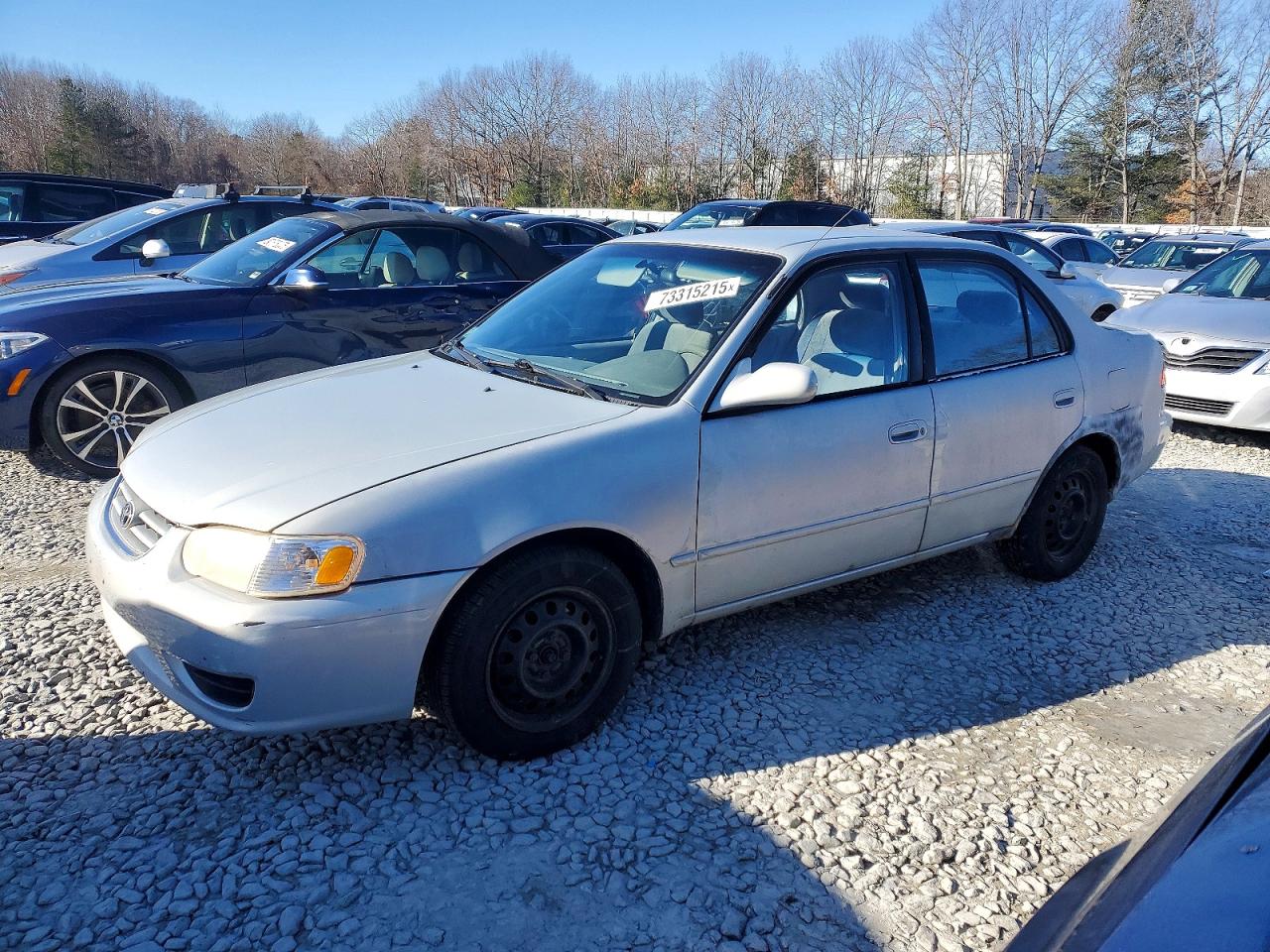 Salvage Toyota Corolla Image