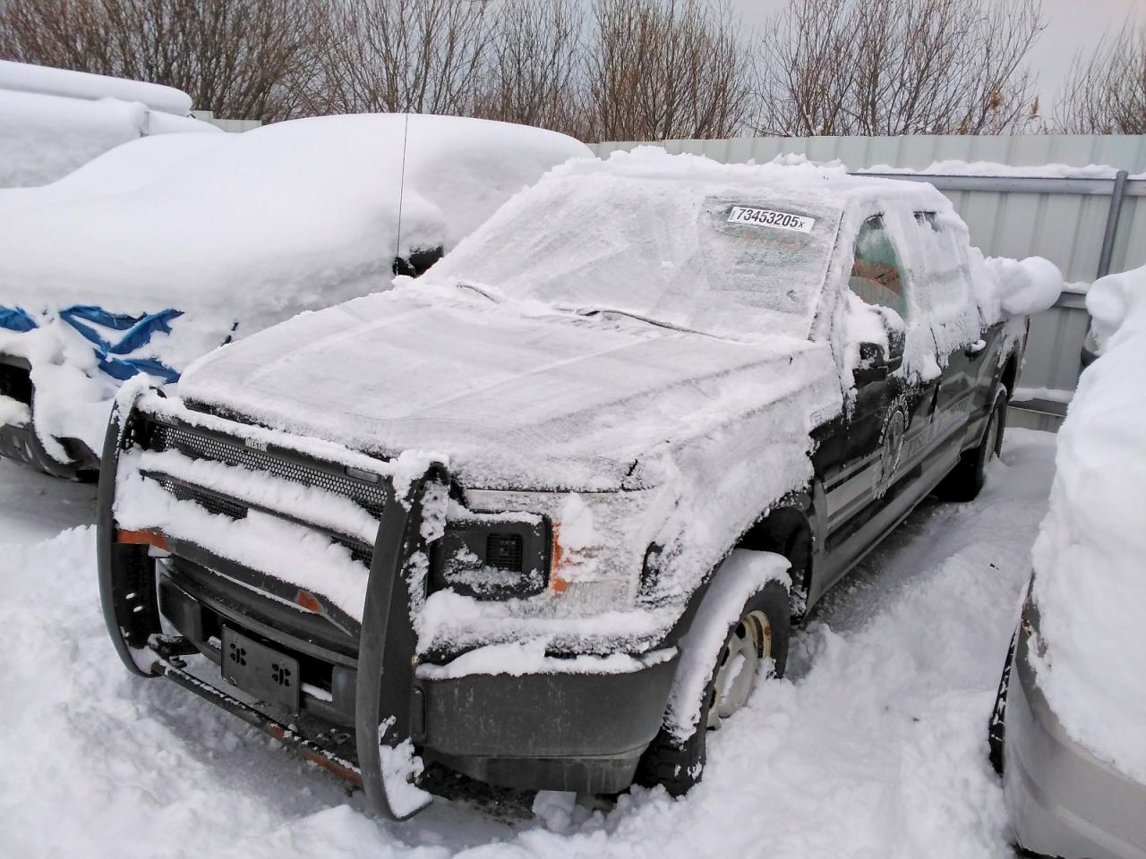 Salvage Ford F-150 Image
