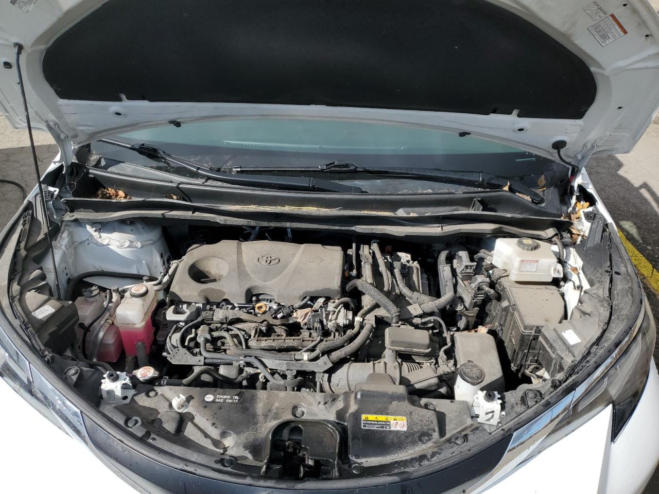 Toyota Sienna Le