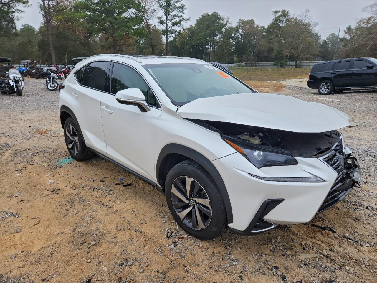 Lexus NX 300 Base