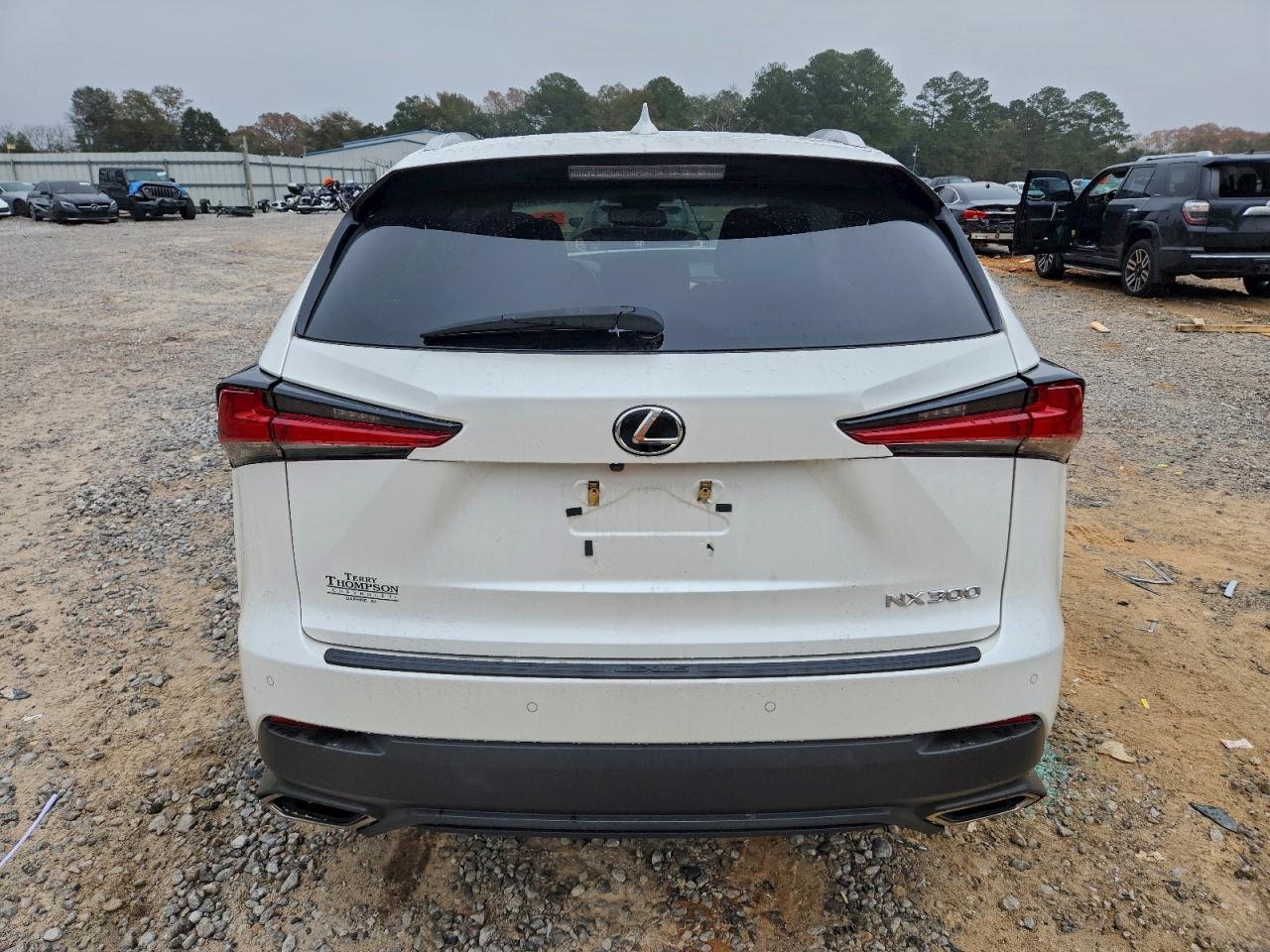 Lexus NX 300 Base