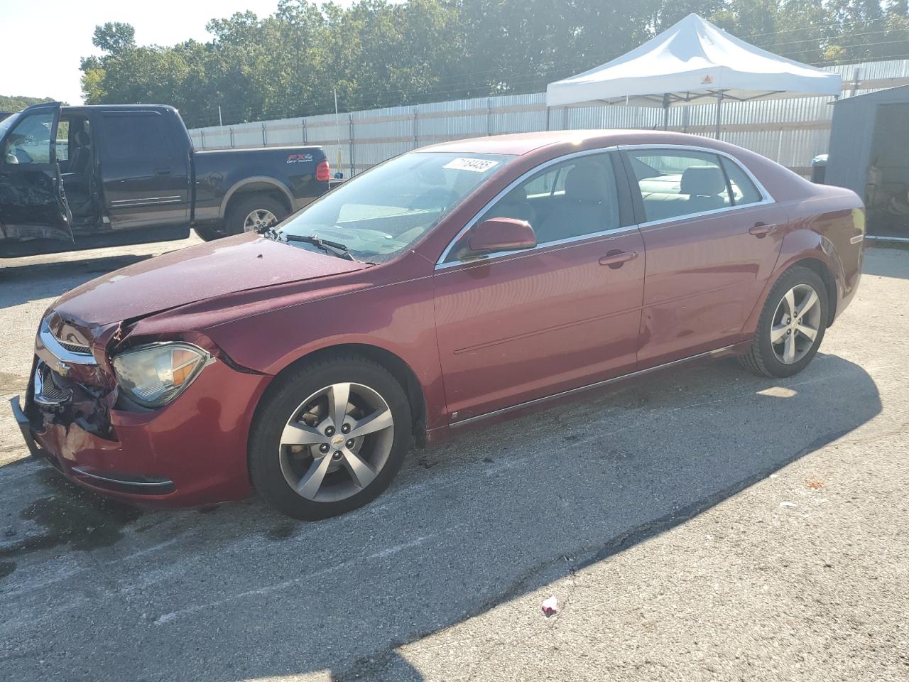 Salvage Chevrolet Malibu Image
