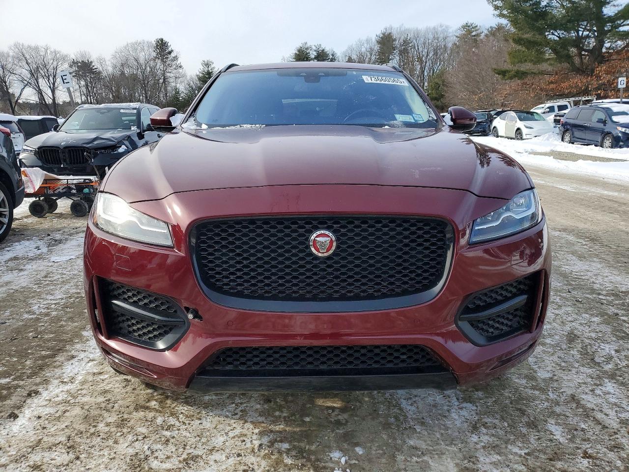 Jaguar F-PACE R - Sport