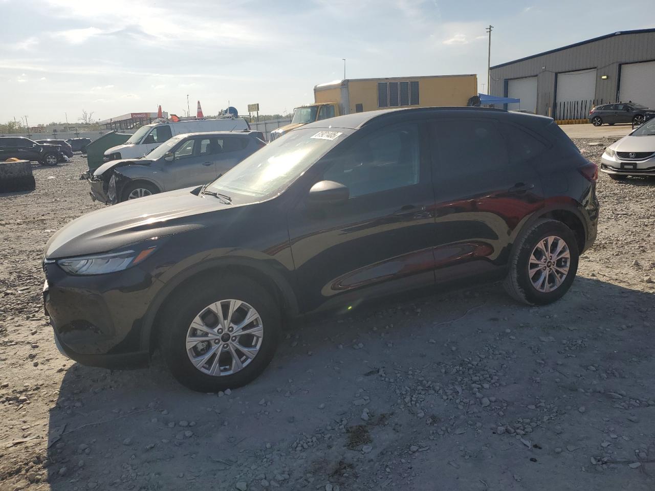 Salvage Ford Escape Image
