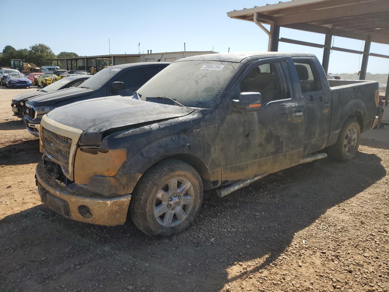 Salvage Ford F-150 Image