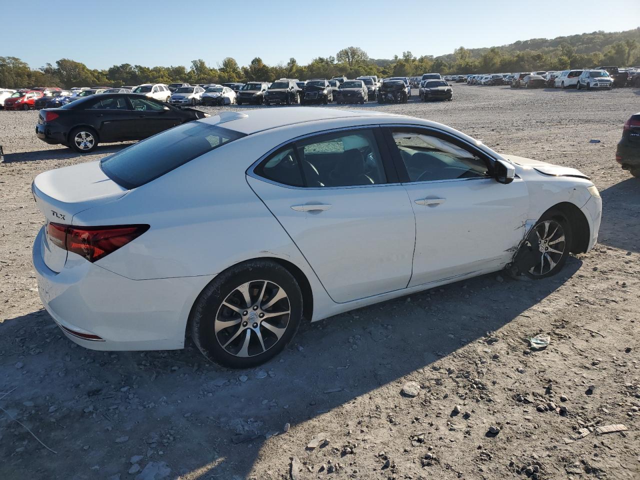 Acura TLX