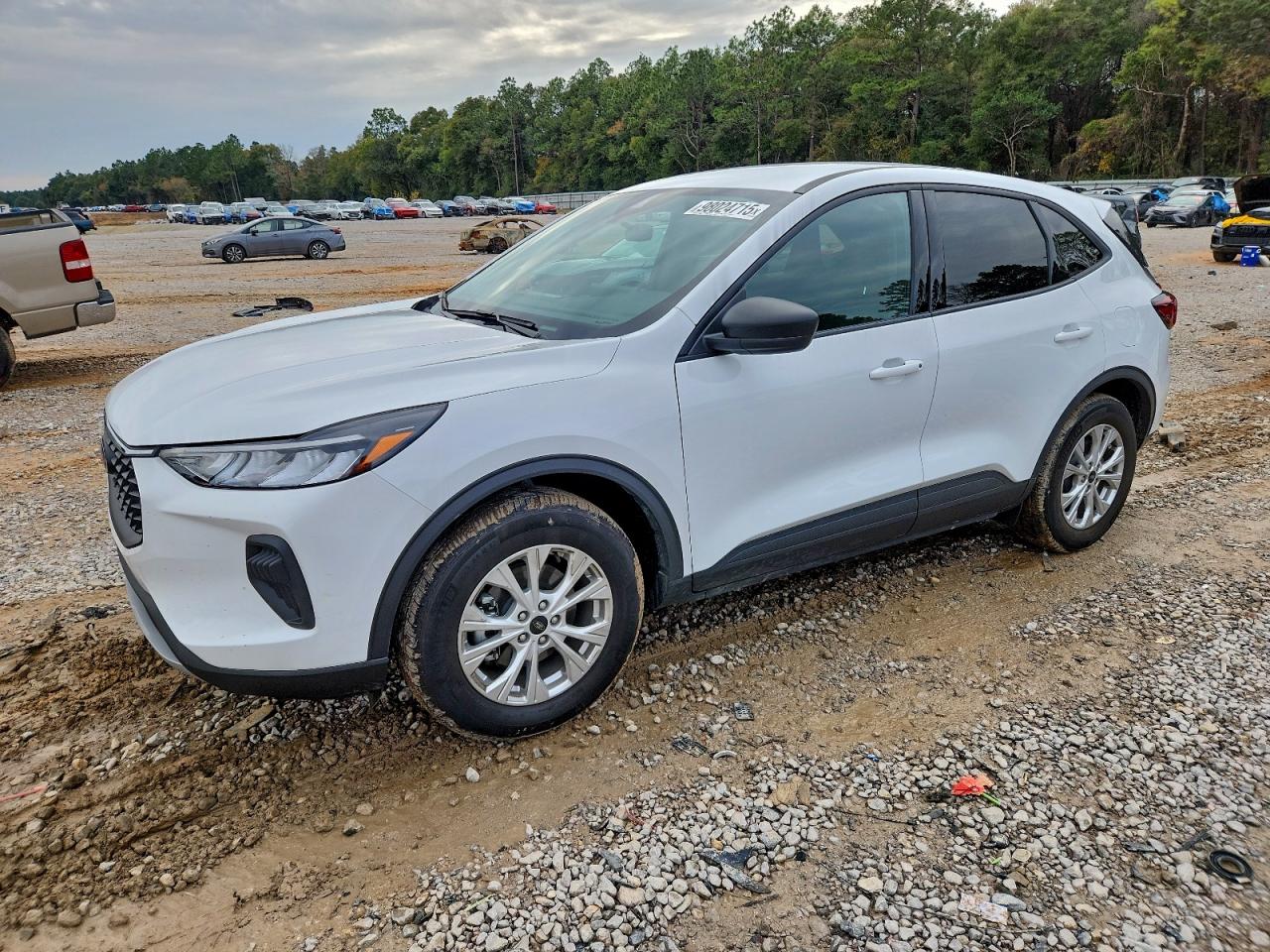 Salvage Ford Escape Image
