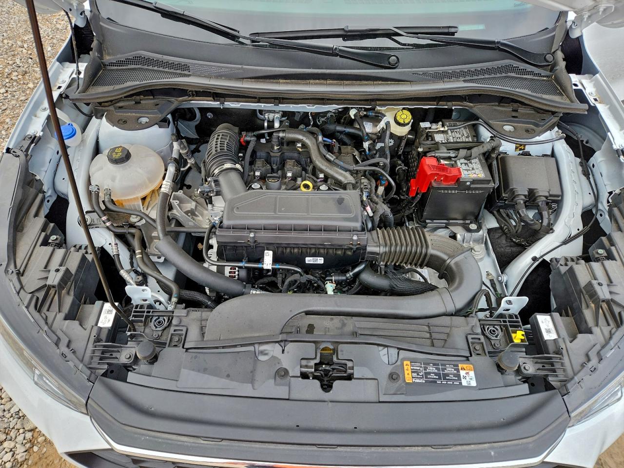 Ford Escape Active
