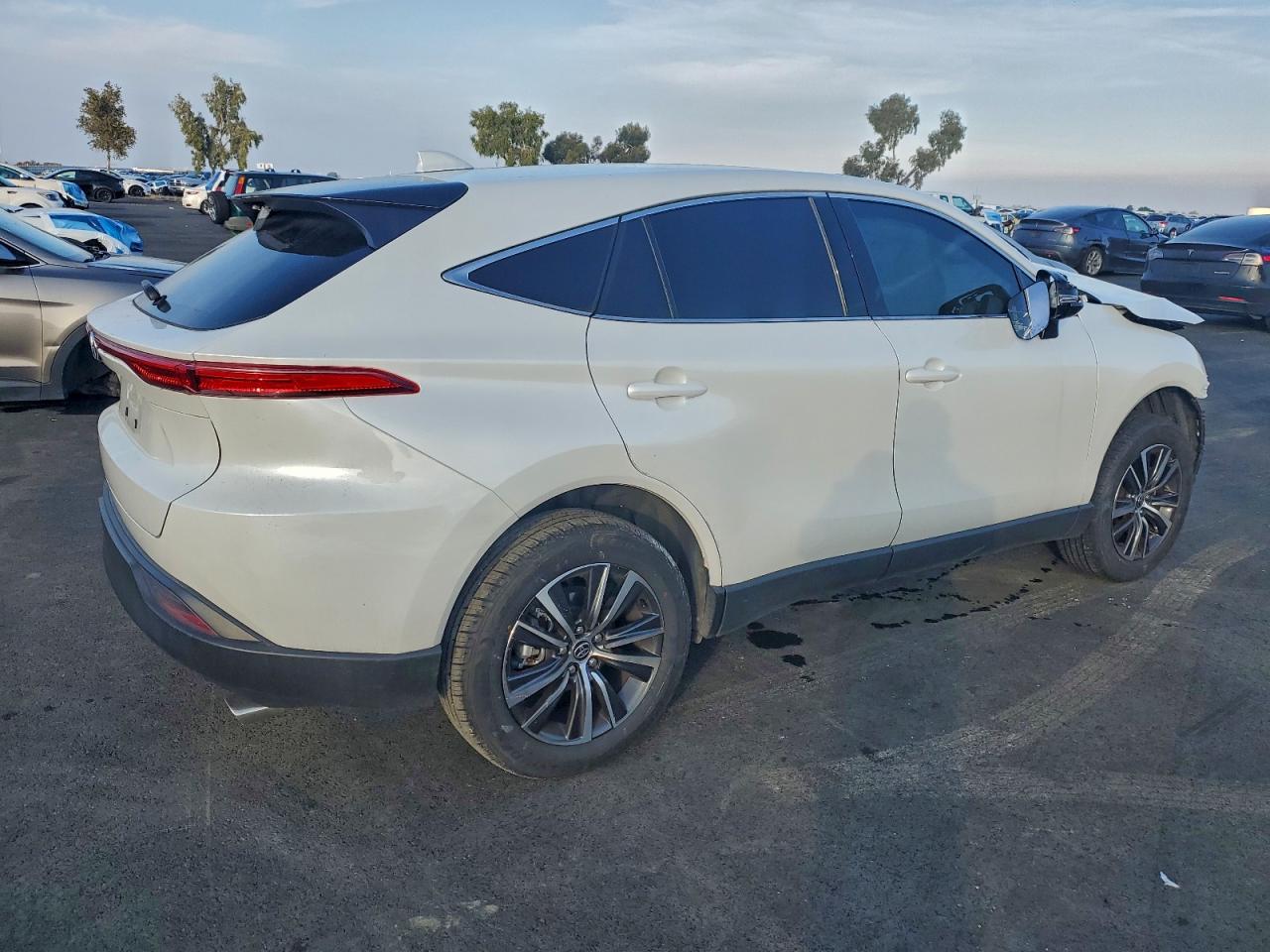Toyota Venza Le