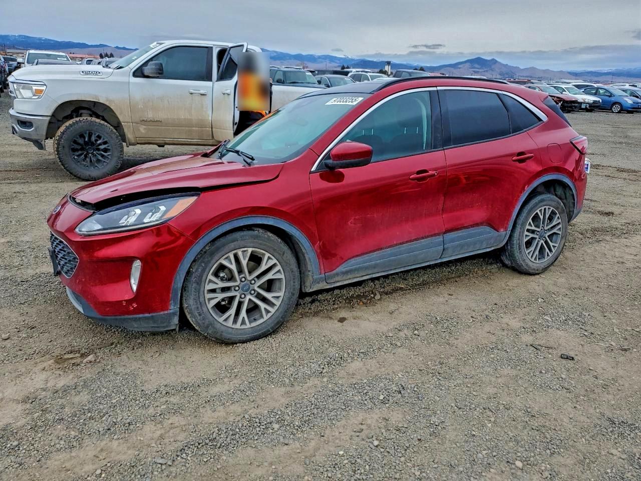Salvage Ford Escape Image