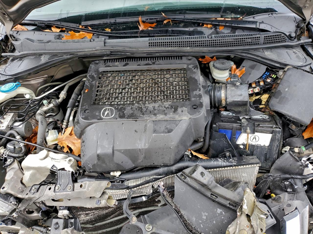Acura RDX