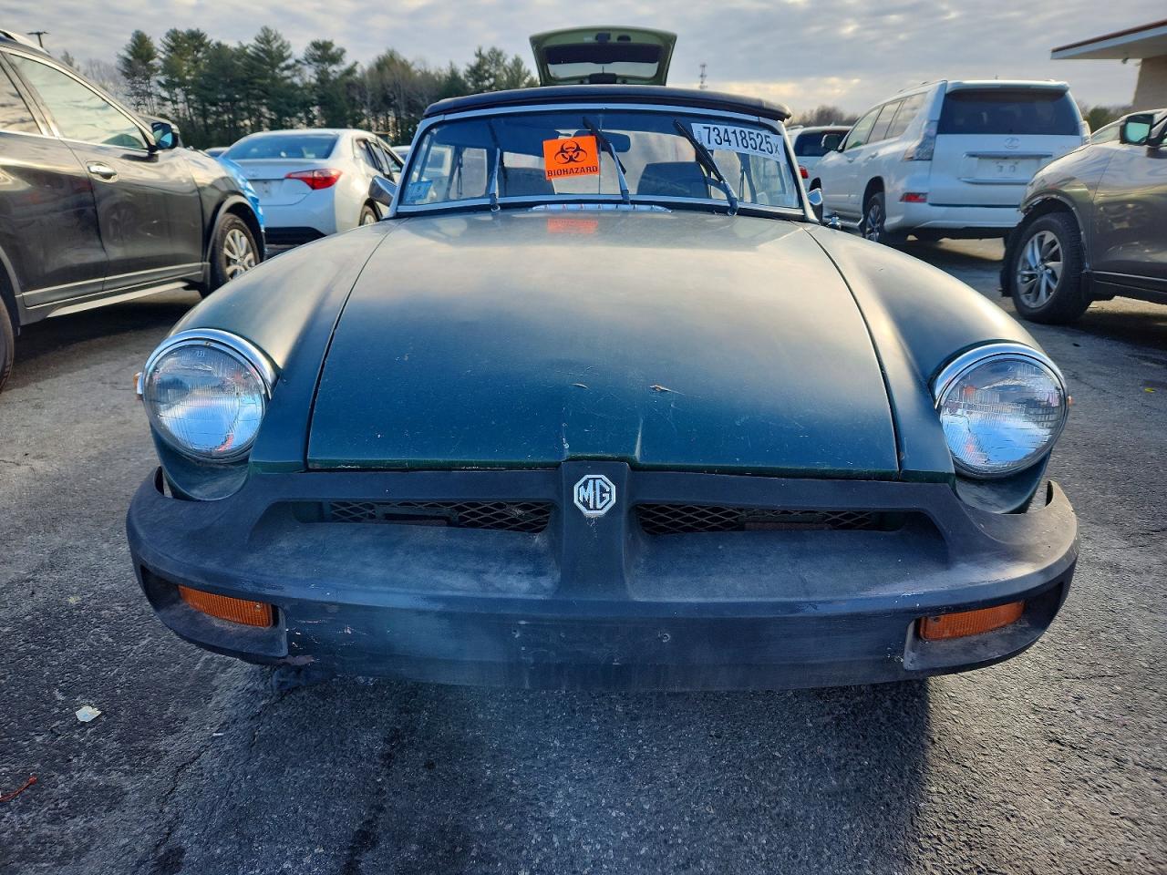 Mg B